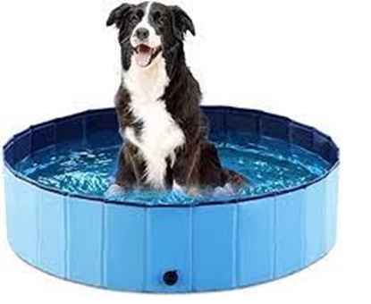 Picture of Dog Pool Foldable PVC Non-Slip Paddling Pool